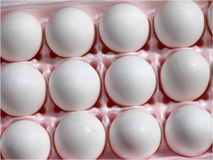Egg Safety at Easter and Passover