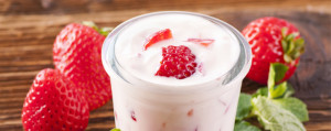 Probiotics –The Immune Boost You May Need