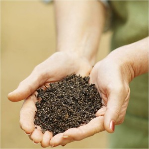 Top 5 Reasons Why You Should Compost