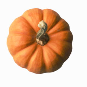 orange pumpkin for colorful healthy Thanksgiving meal