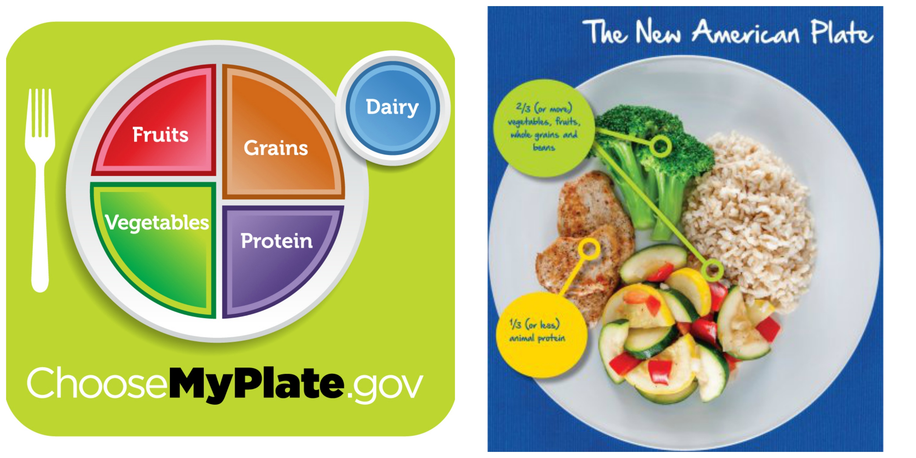 Healthy Eating Plate Model