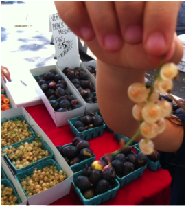 4 Easy Ways to Highlight Fruits in Meals and Snacks!