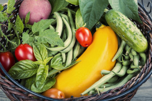 Fill Your Plate with Plants for National Nutrition Month