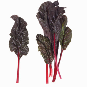 Swiss Chard - A Tasty Leafy Green Your Family will Enjoy!