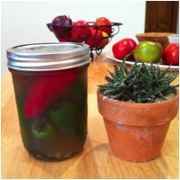 Pick a Peck of Pickled Peppers!