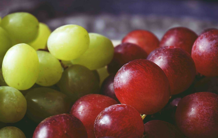 close up of green and purple grapes