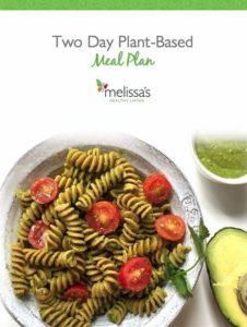 Two Day Plant-Based Meal Plan